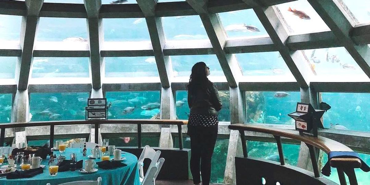 You Can Dine In This Magical Underwater Dome Just A Few Hours Outside