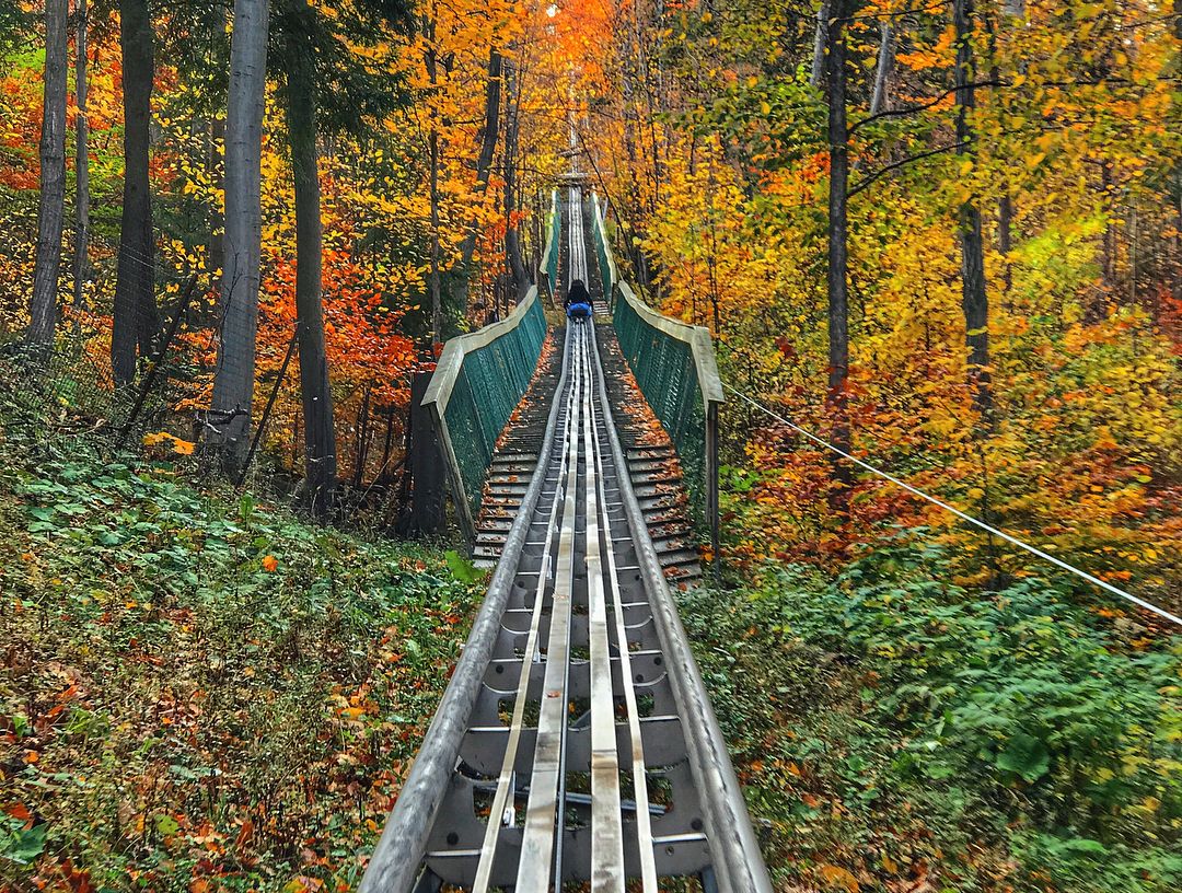 You Can Ride This 1km Mountain Coaster Through The Forest In Ontario