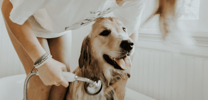 22 Emplois Qui Seront Super En Demande Au Quebec En 2019 Narcity