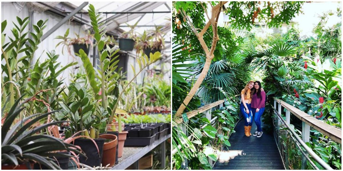This Picturesque Dallas Garden Is Having The Cutest Plant Sale Ever