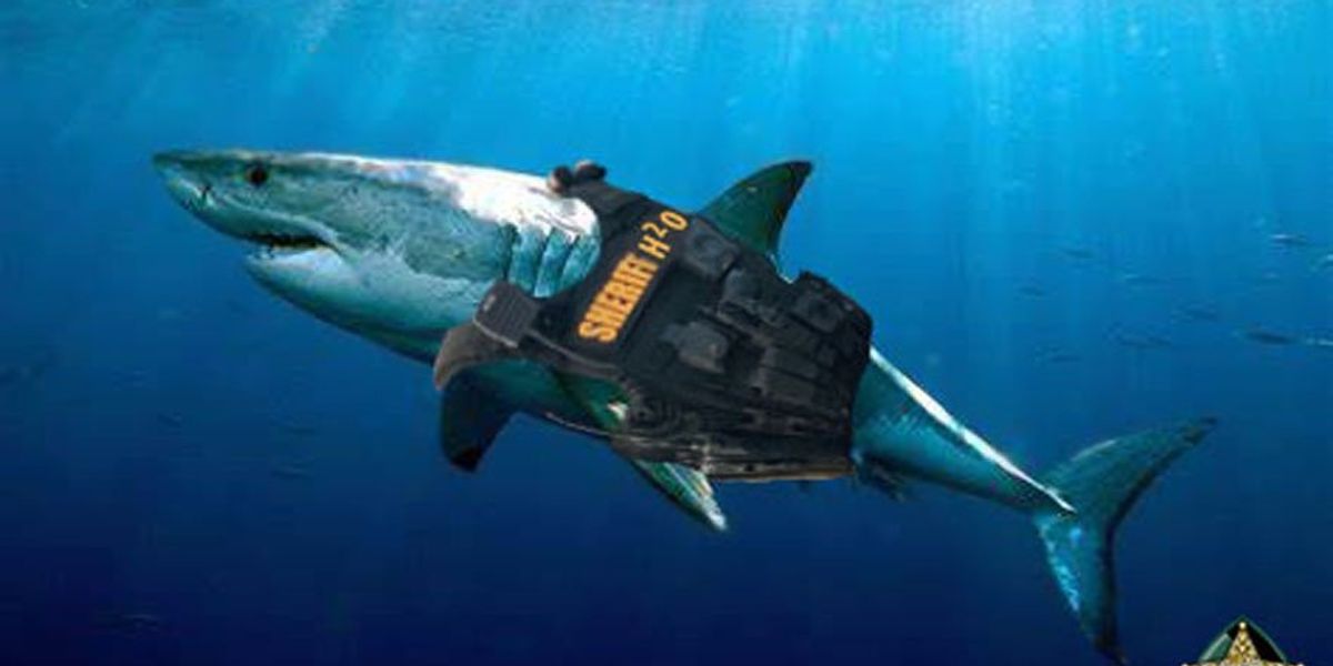 Florida Sheriff's Office Plays Best April Fools Prank And