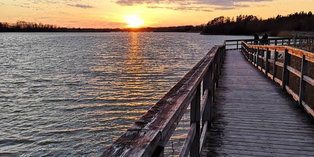 Ontario's Floating Boardwalk On A Hidden Lake Is The Perfect Summer