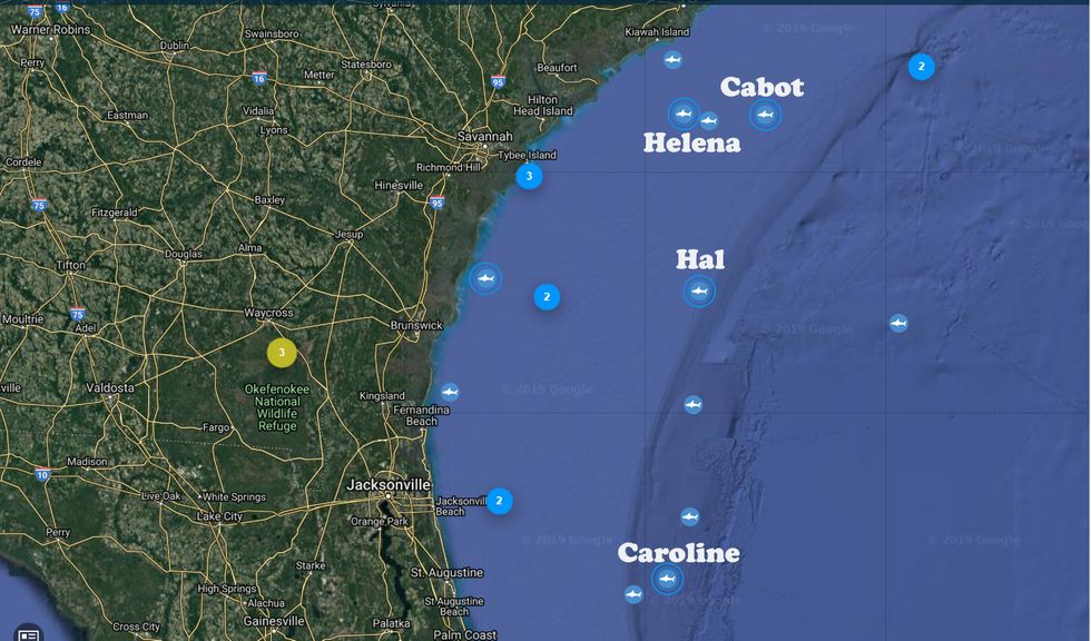 Ocearch Confirms Several Great Whites That Recently Pinged Off The