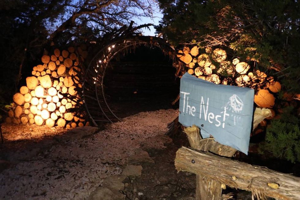 Stay In Giant Bird Nest Airbnbs Near Fort Worth Narcity