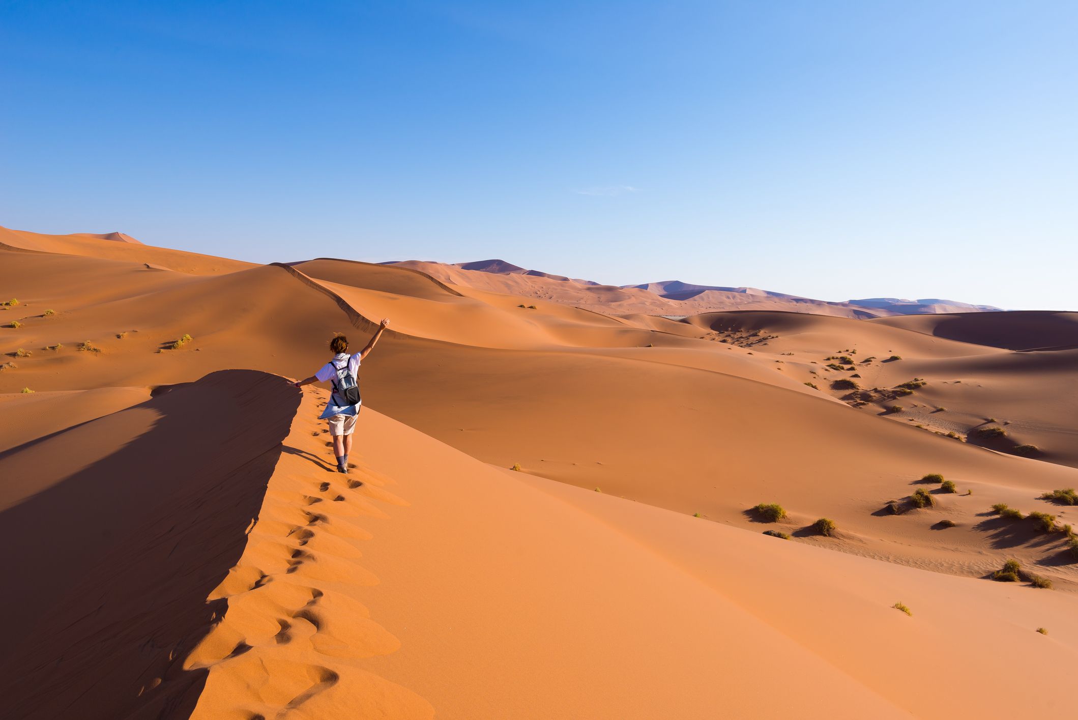 Saskatchewan's Athabasca Sand Dunes Are The Largest In Canada Narcity