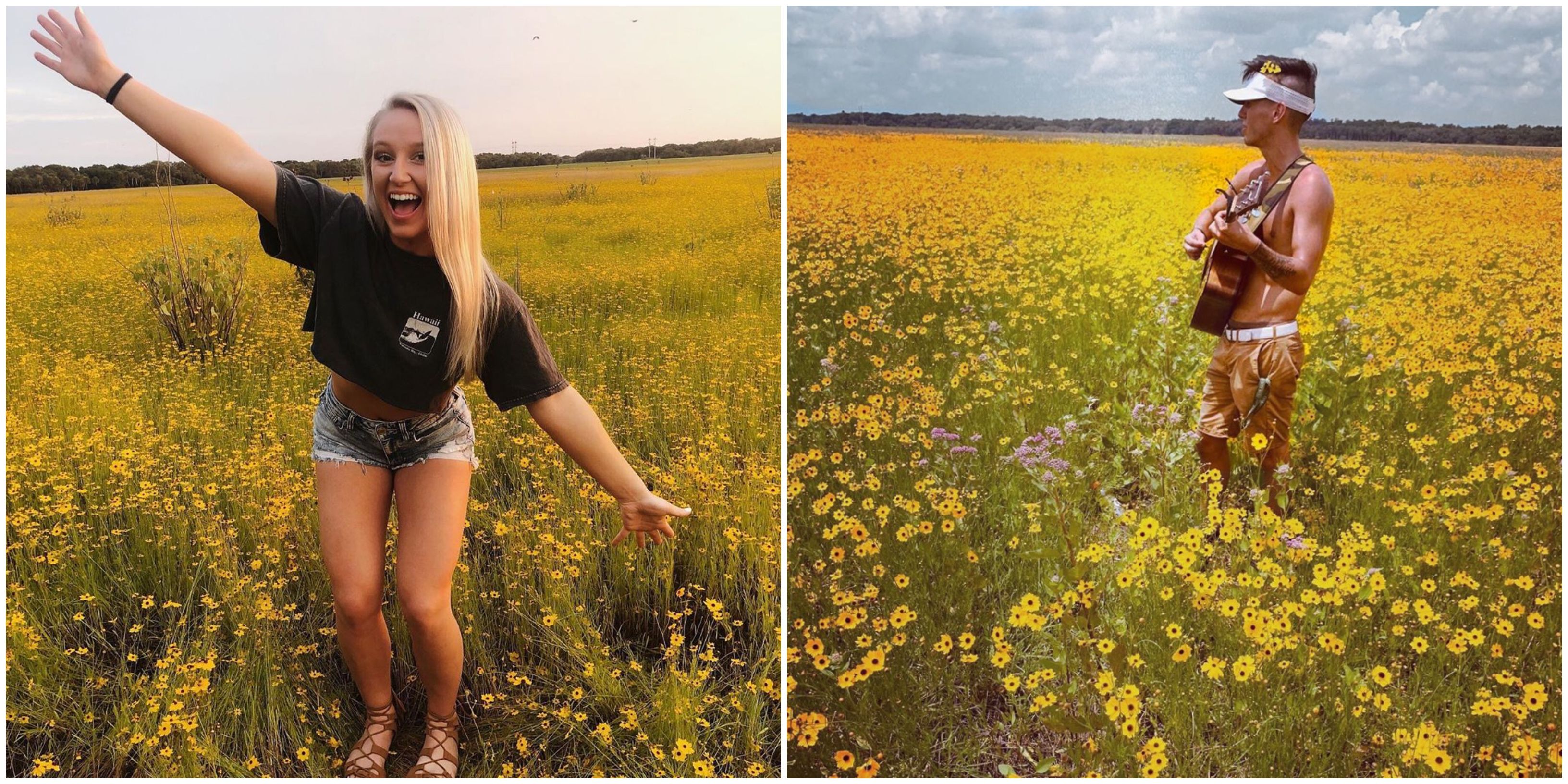 Myakka River State Park Has A Huge Wildflower Field Narcity