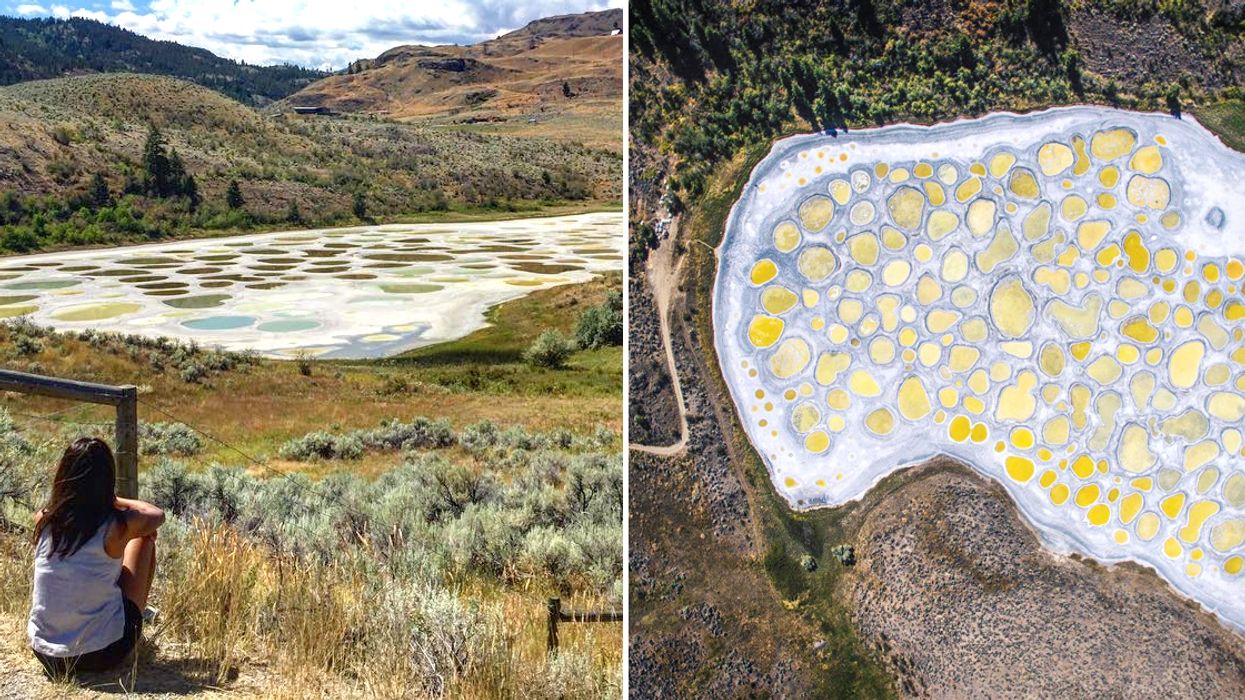 S Spotted Lake Is A Magical Place That You Can Actually See In Canada Narcity S Spotted Lake Is A Magical Place That You Can Actually See In Canada Narcity