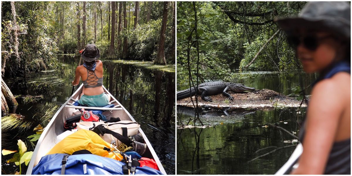 Get An Up Close Glimpse At Alligators During This Kayak