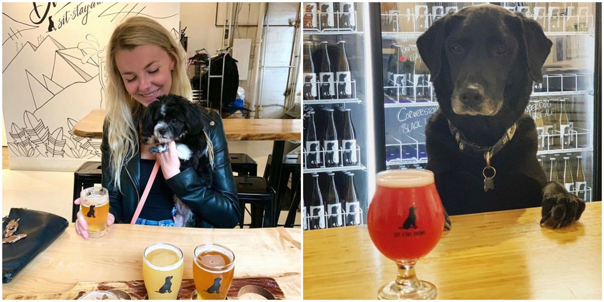 Toronto's Dog Friendly Restaurants Where You Can Share A Drink With