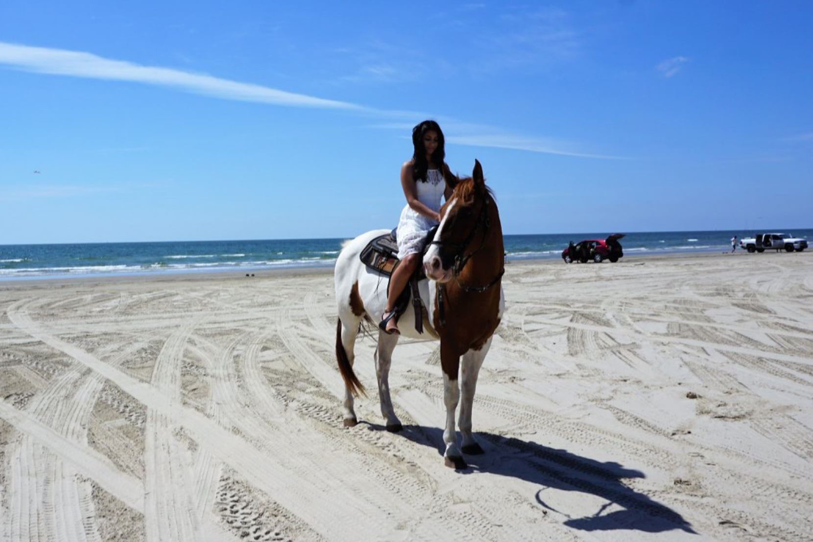 Beach Bum Horse Rides In Galveston Has Horseback Rides On The Beach