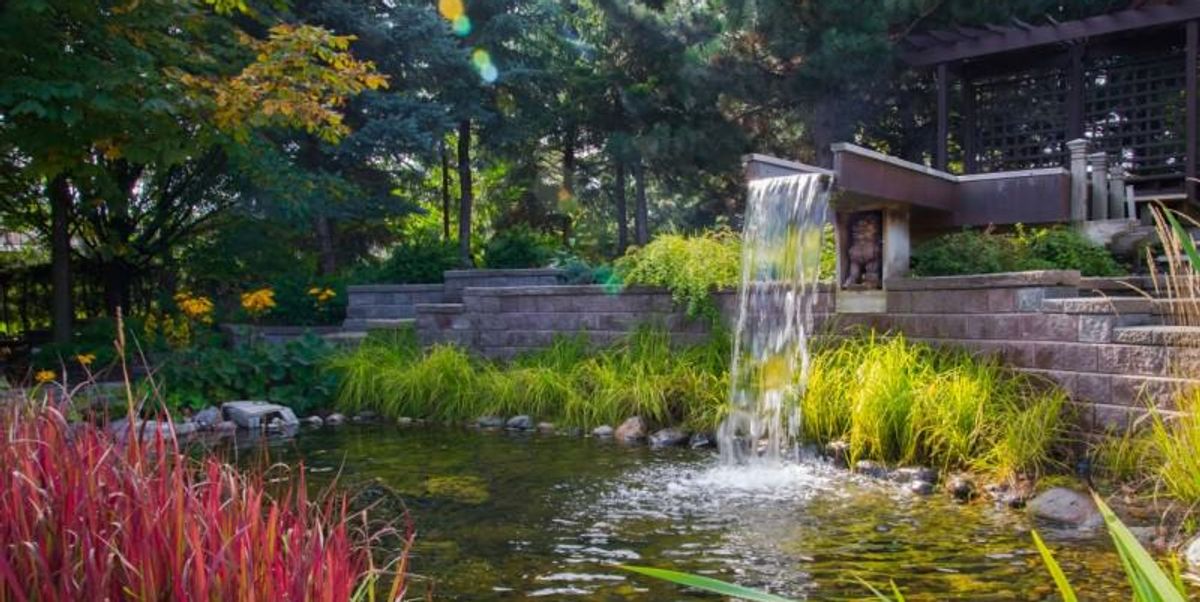 Beautiful Ottawa Garden Is A Hidden Gem In The City Narcity