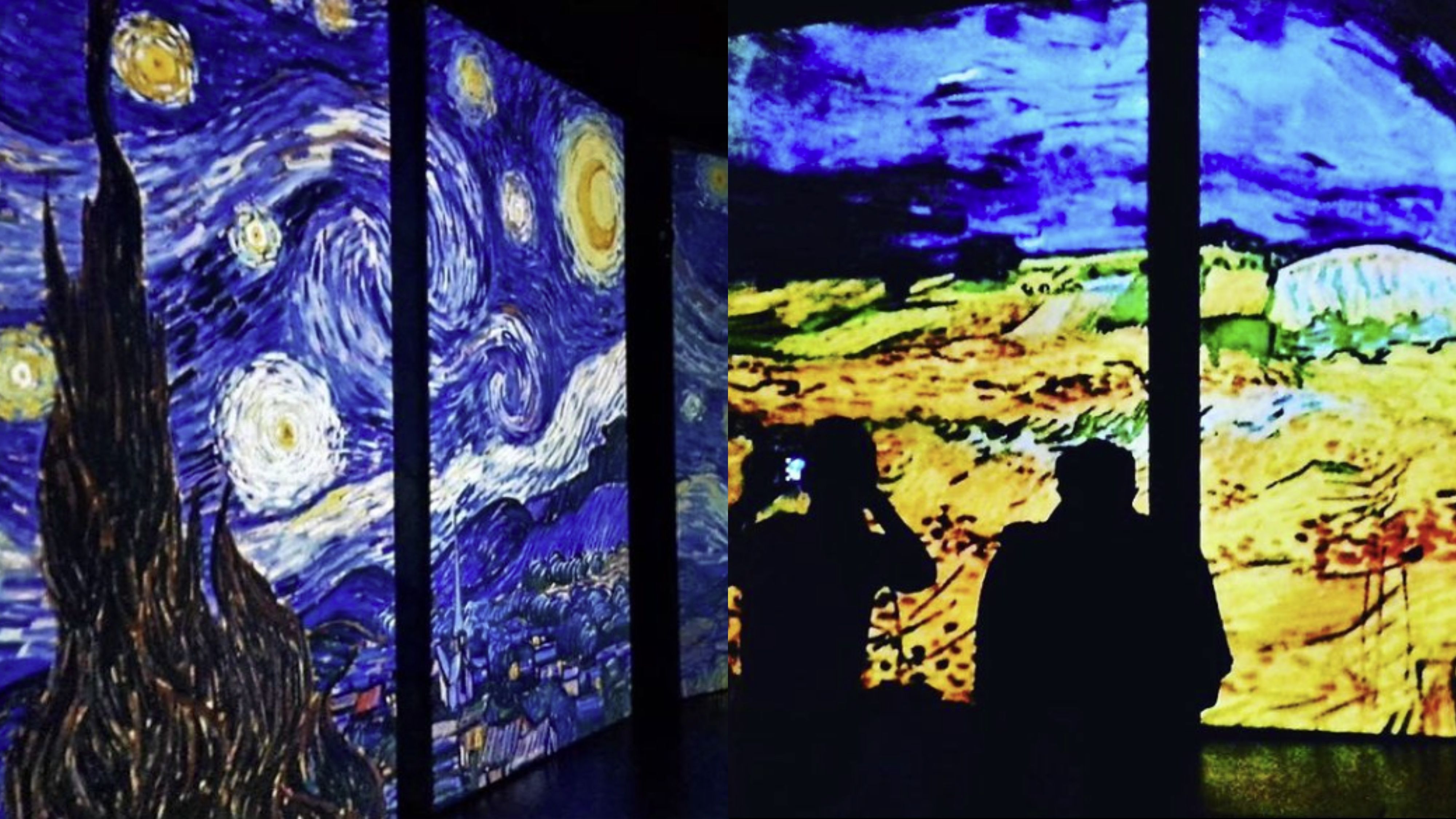 Denver Immersive 'Van Gogh Alive' Exhibit Is Coming This Summer Narcity