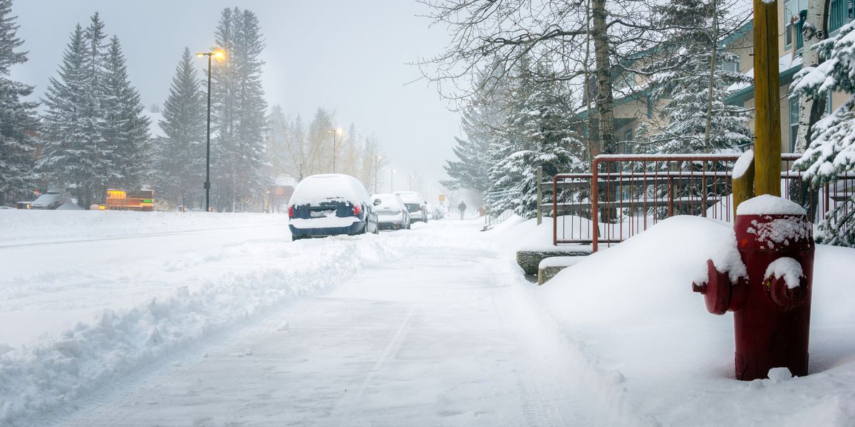 Alberta Snow In November Record Could Be Broken By Winter Storm Narcity