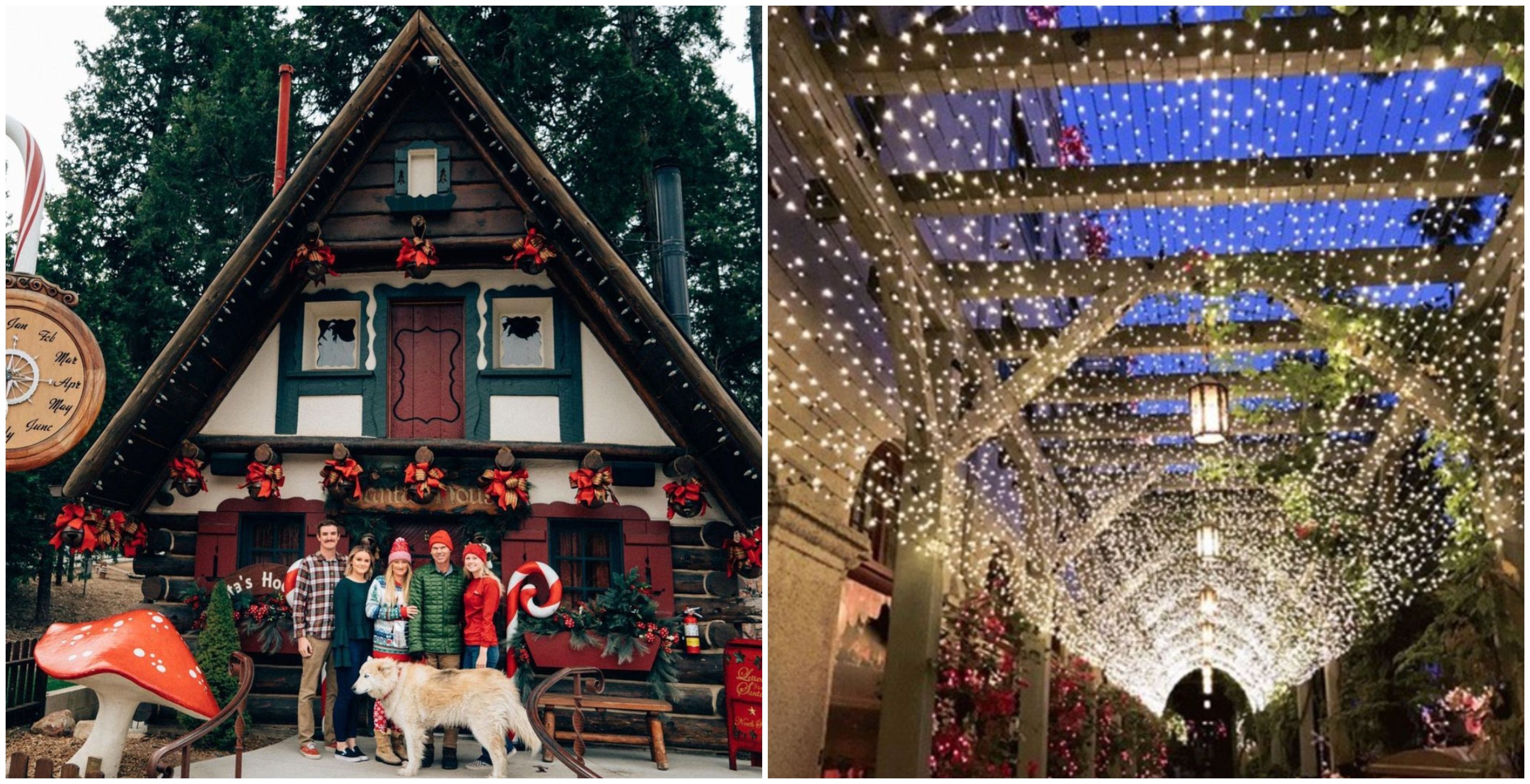 6 Best Southern California Christmas Spots To Brighten Your Holiday