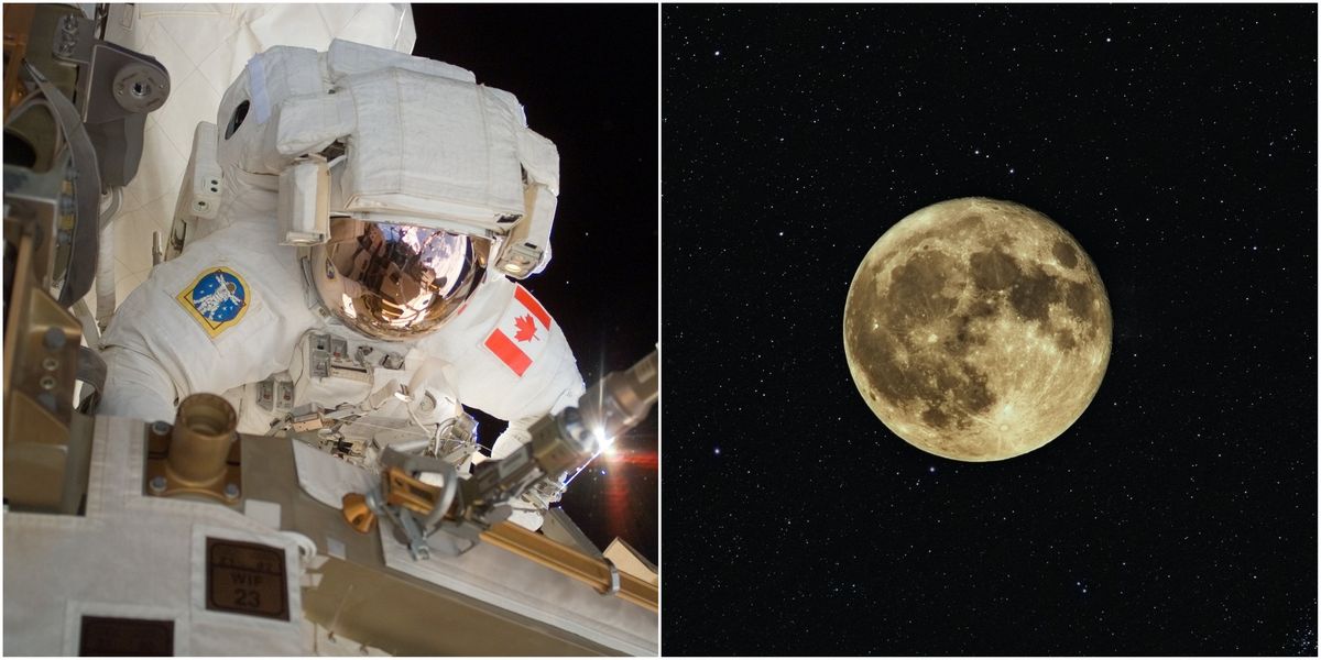 NASA Moon Mission Will See A Canadian Astronaut Orbit The Moon In 2023 - Narcity
