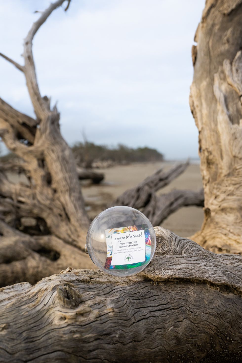Jekyll Island's Scavenger Hunt For Island Treasures Has Officially