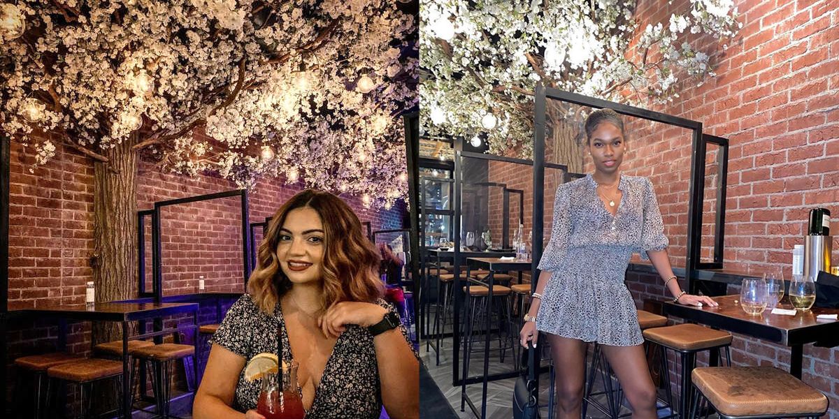 Ottawa's Back To Brooklyn Restaurant Will Let You Dine Under Cherry