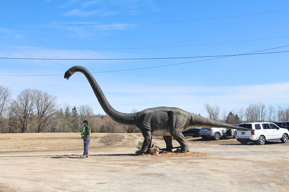 Toronto's Dino Drive Will Take You Back To Prehistoric Times Narcity