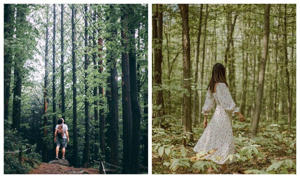 how to do forest bathing