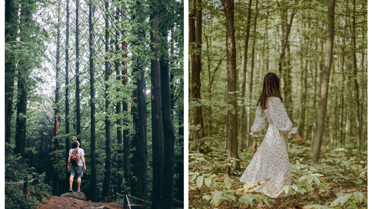 how to do forest bathing