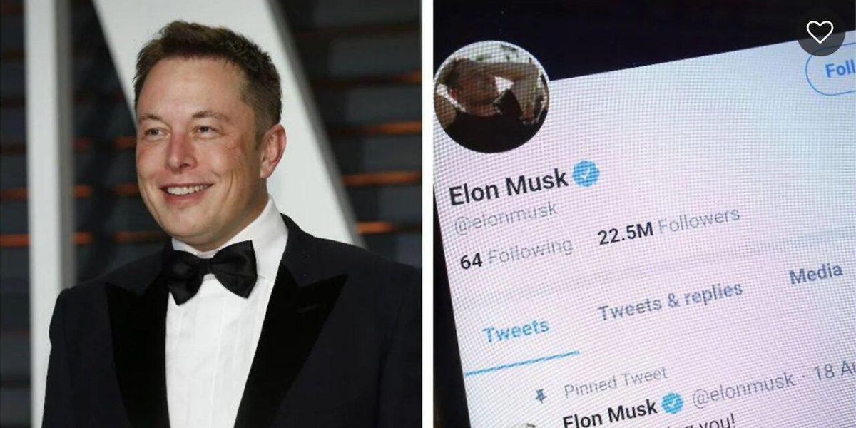 Elon Musk Just Broke Up With Bitcoin Using Two Very Weird Memes Narcity Elon Musk Just Broke Up With Bitcoin Using Two Very Weird Memes Narcity