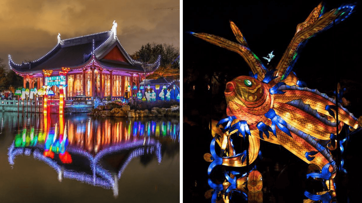 Le 4 Lanternes Québec Canada Le festival de lanternes à Montréal revient cet automne et c'est WOW