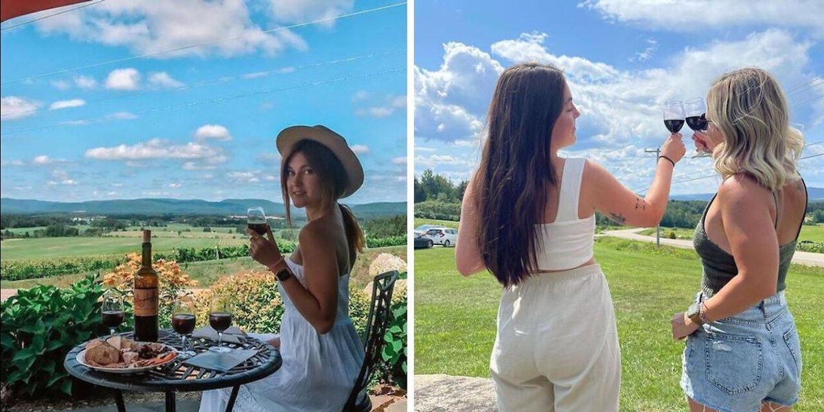 Le Vignoble SaintGabriel à 1 h 30 de Montréal offre des dégustations