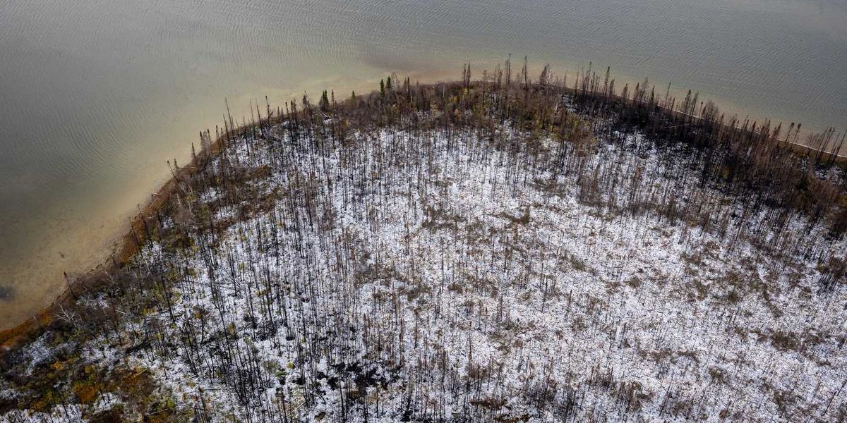 Fact File: Does banning glyphosate prevent wildfires? Here’s what we know Fact File: Does banning glyphosate prevent wildfires? Here’s what we know