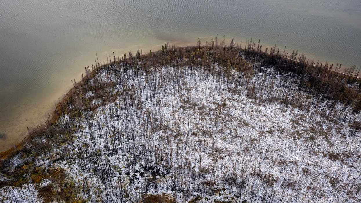 Fact File: Herbicide ban does not lessen wildfires