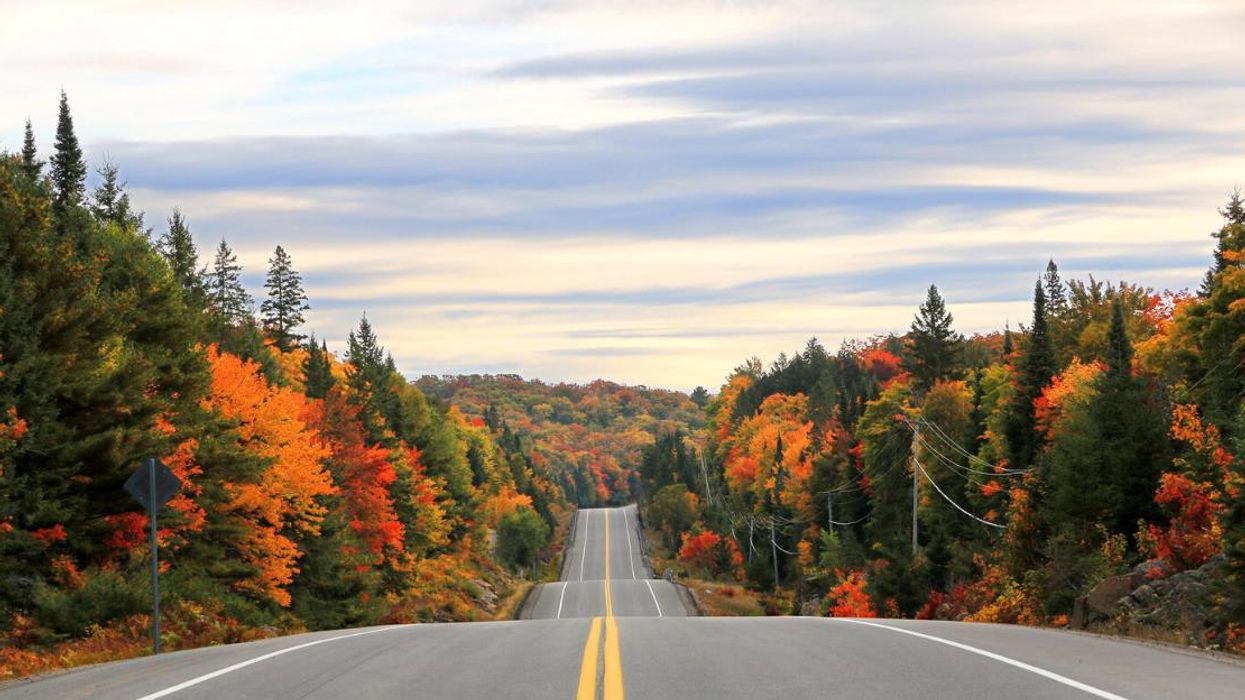 Fall colours at Algonquin Provincial Park.