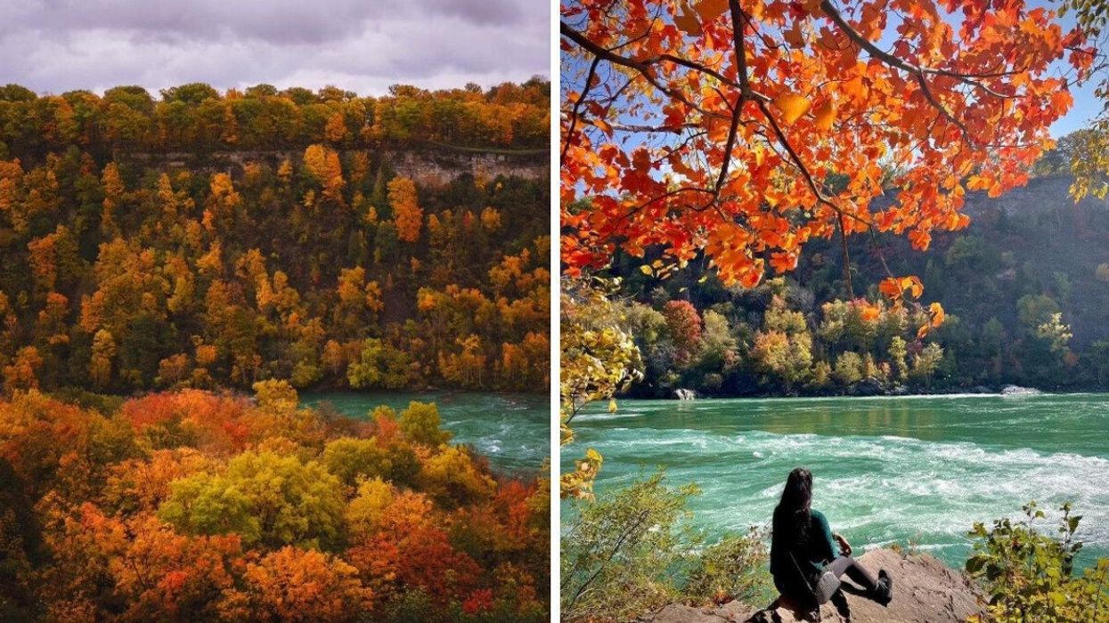 Fall colours in a gorge.