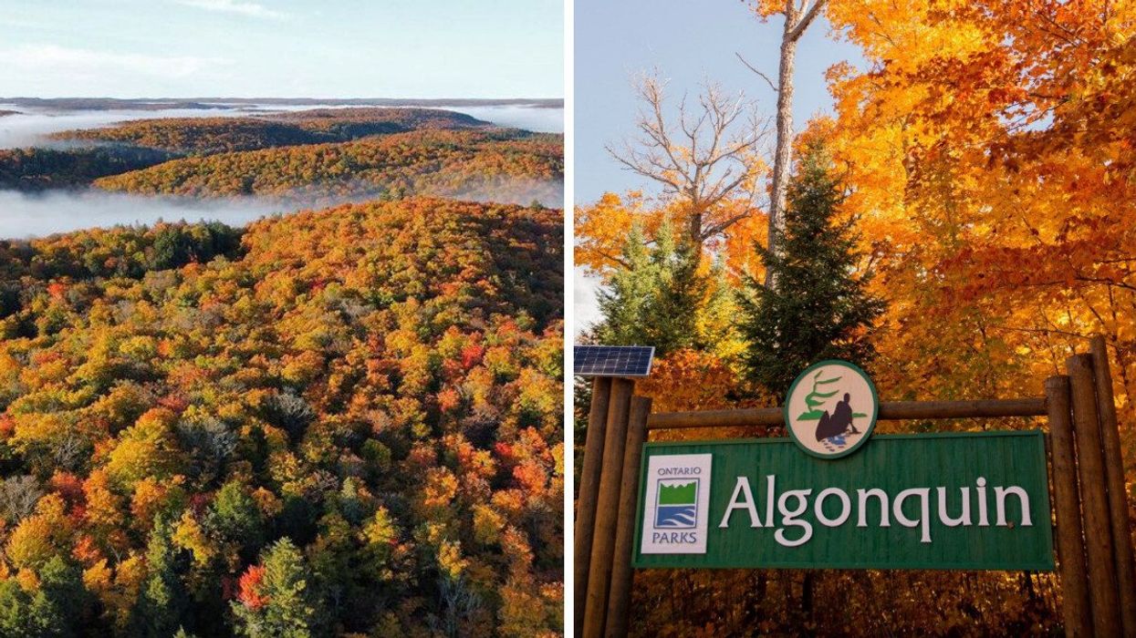 Fall colours in Algonquin Provincial Park.
