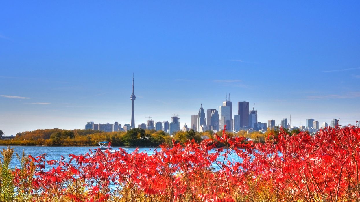 Fall colours in Toronto.