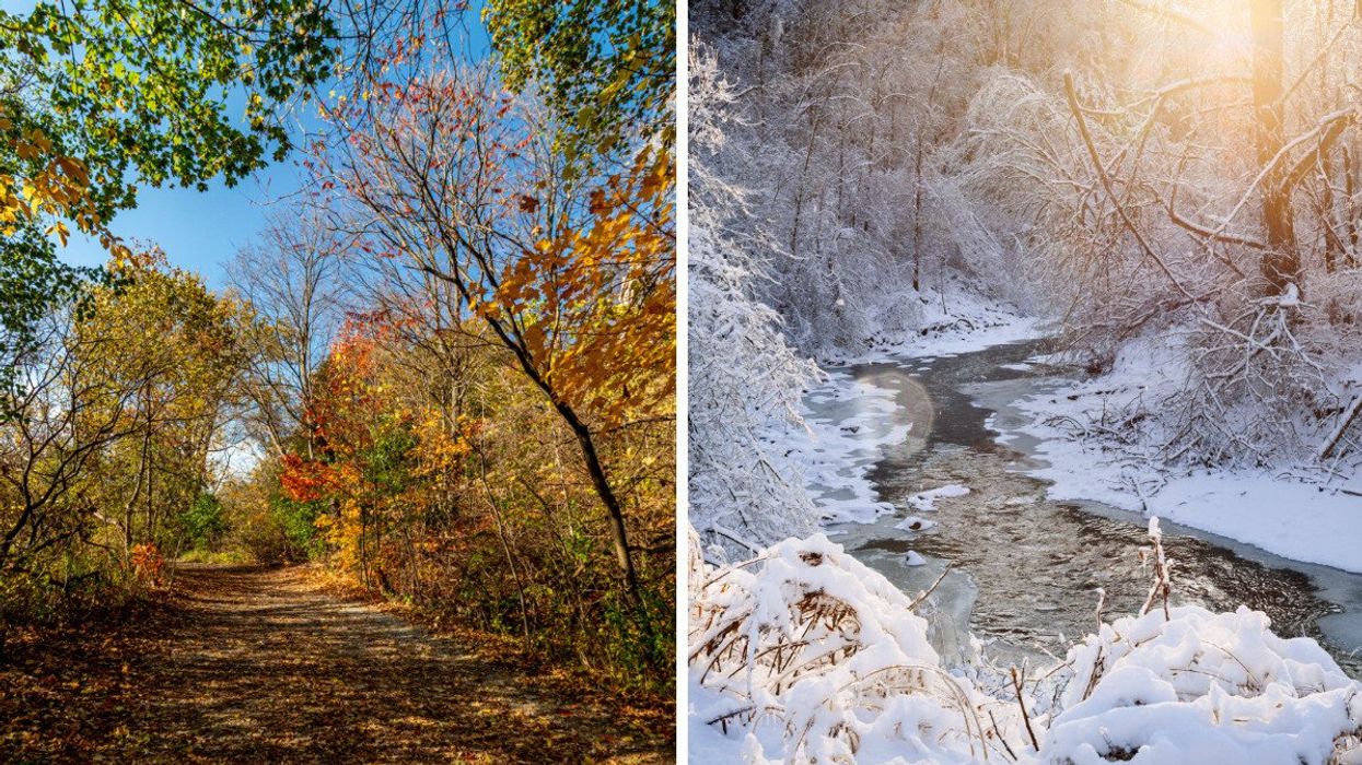 Fall colours on full display in a forest in central Canada. Right: Winter landscape showing a snow-covered forest and flowing stream after a winter snowstorm.