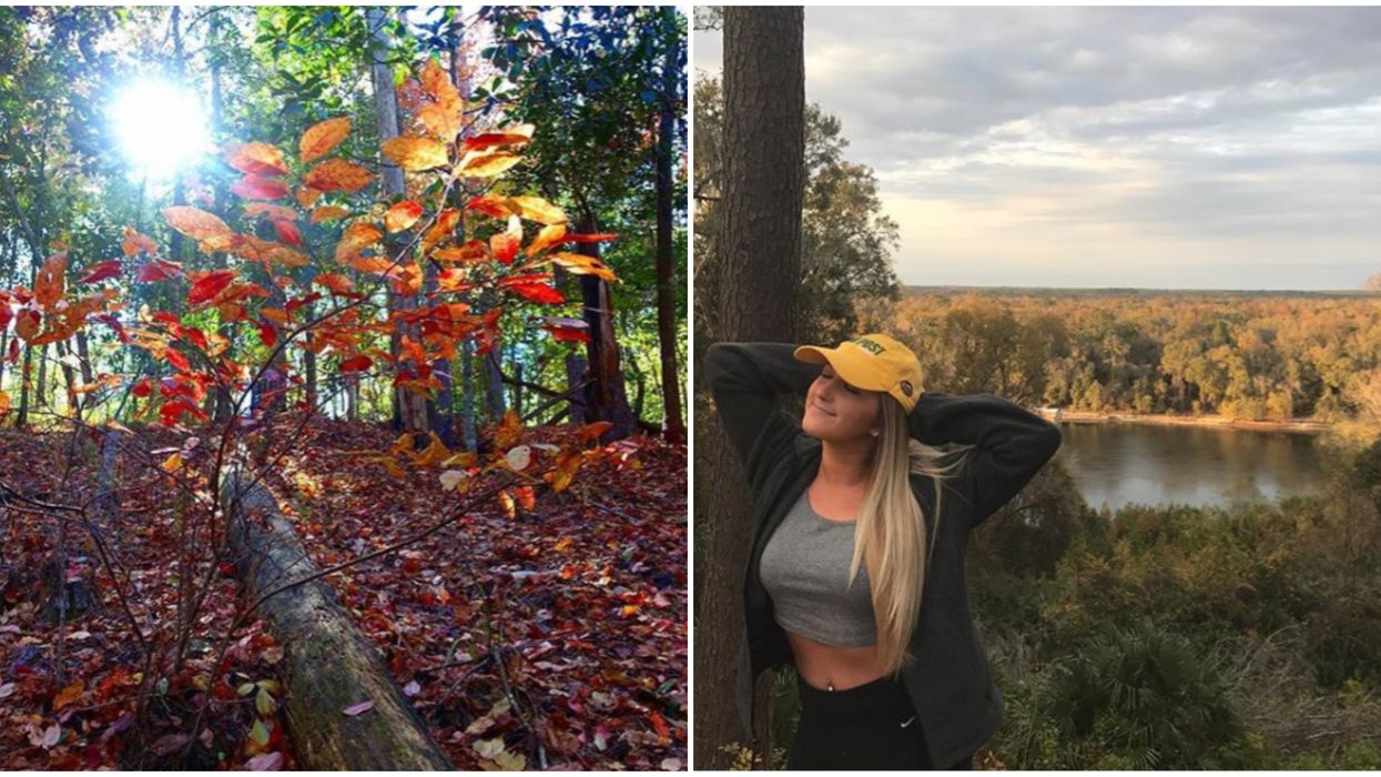 Fall Foliage In Florida Torreya State Park Gives All The Autumn Views