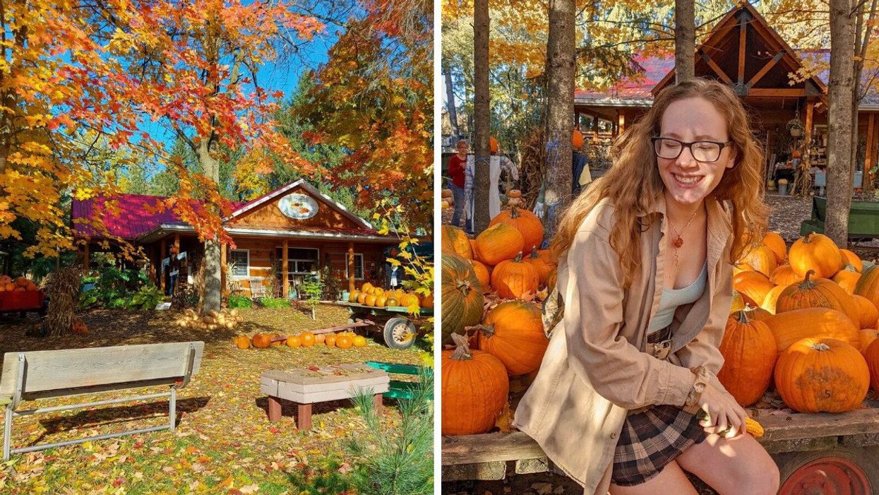 Fall Harvest Farm in Ontario.