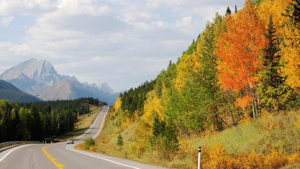Fall in Alberta