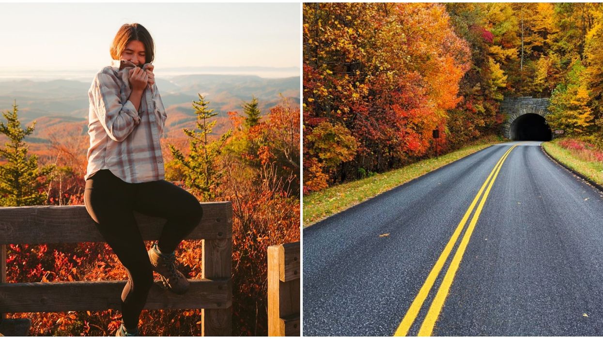 Fall In North Carolina Is Total Road Trip Goals