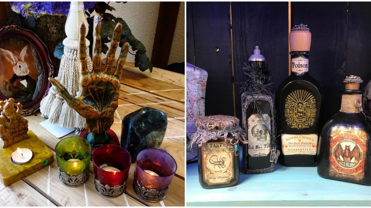 Fall In North Carolina Madame Meerkat's Cabinet Of Curiosities Is A Secret Spooky Gem