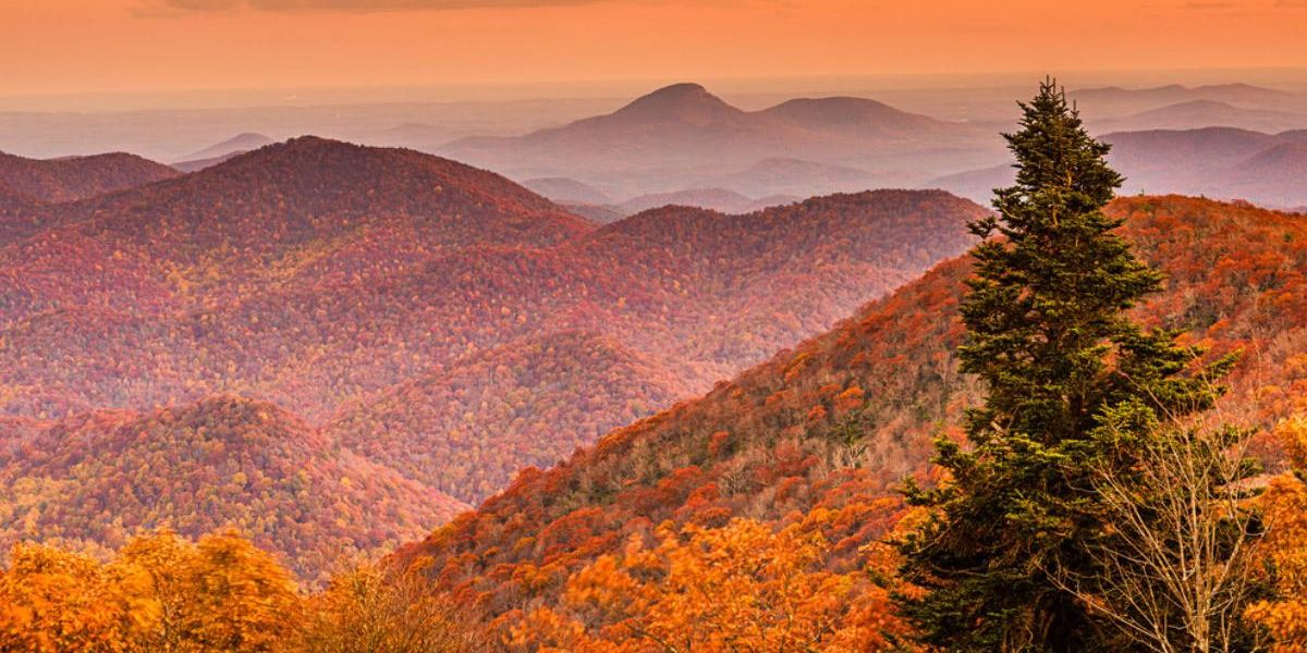 Southern Fall R This Southern US City Surprisingly Ranked As One Of The Best Places To ...