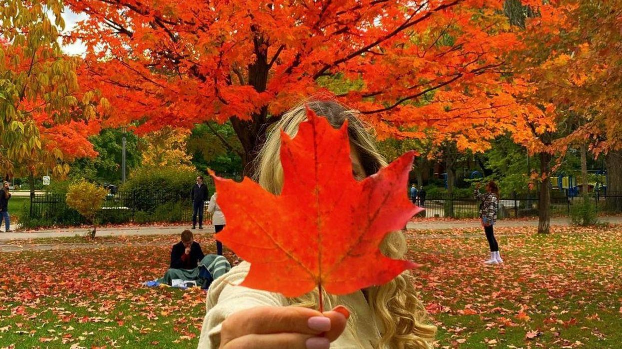 Fall in Trinity Bellwoods Park.