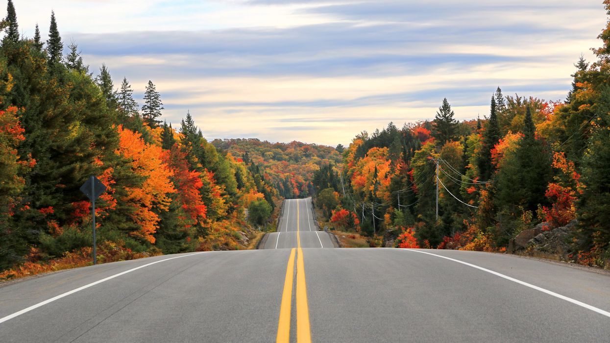 Fall leaves at Algonquin Provincial Park in Ontario.