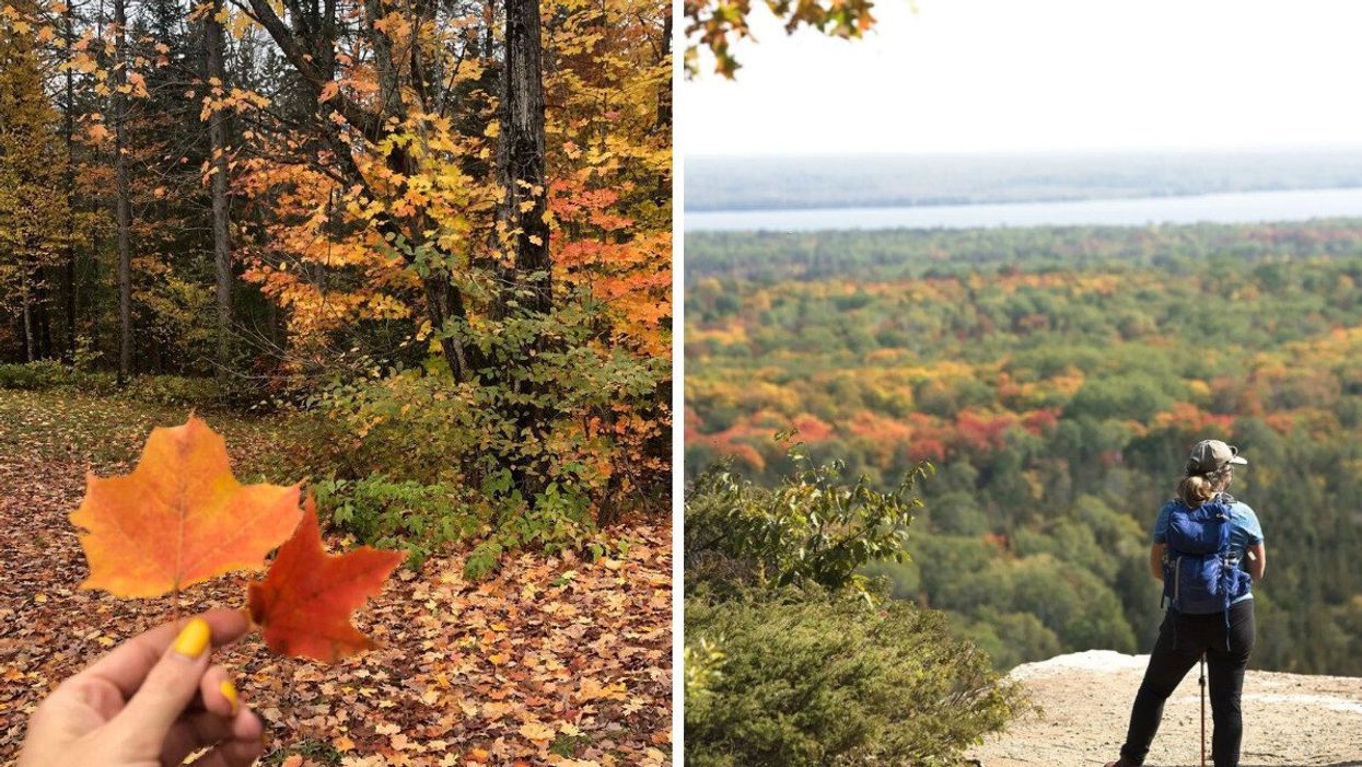 Fall leaves at Algonquin Provincial Park. Right: A person stands at a lookout at Chutes Provincial Park.