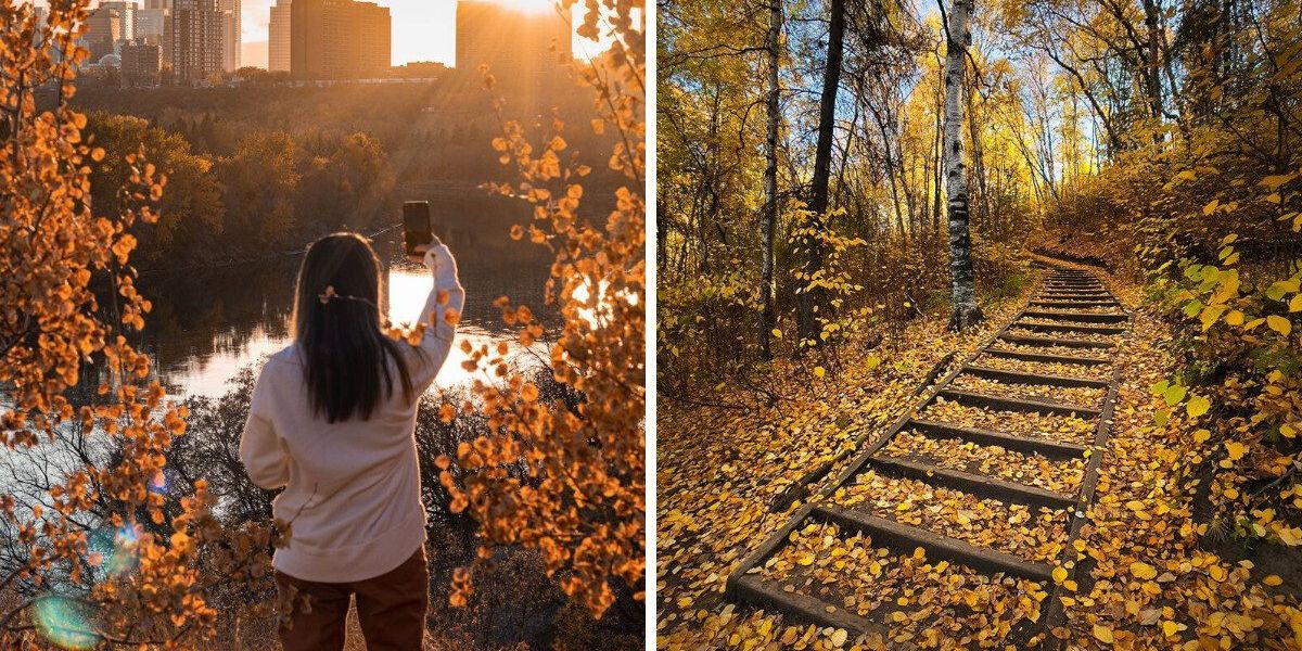 This Edmonton Park Is The Perfect Place To Experience Misty Mornings ...