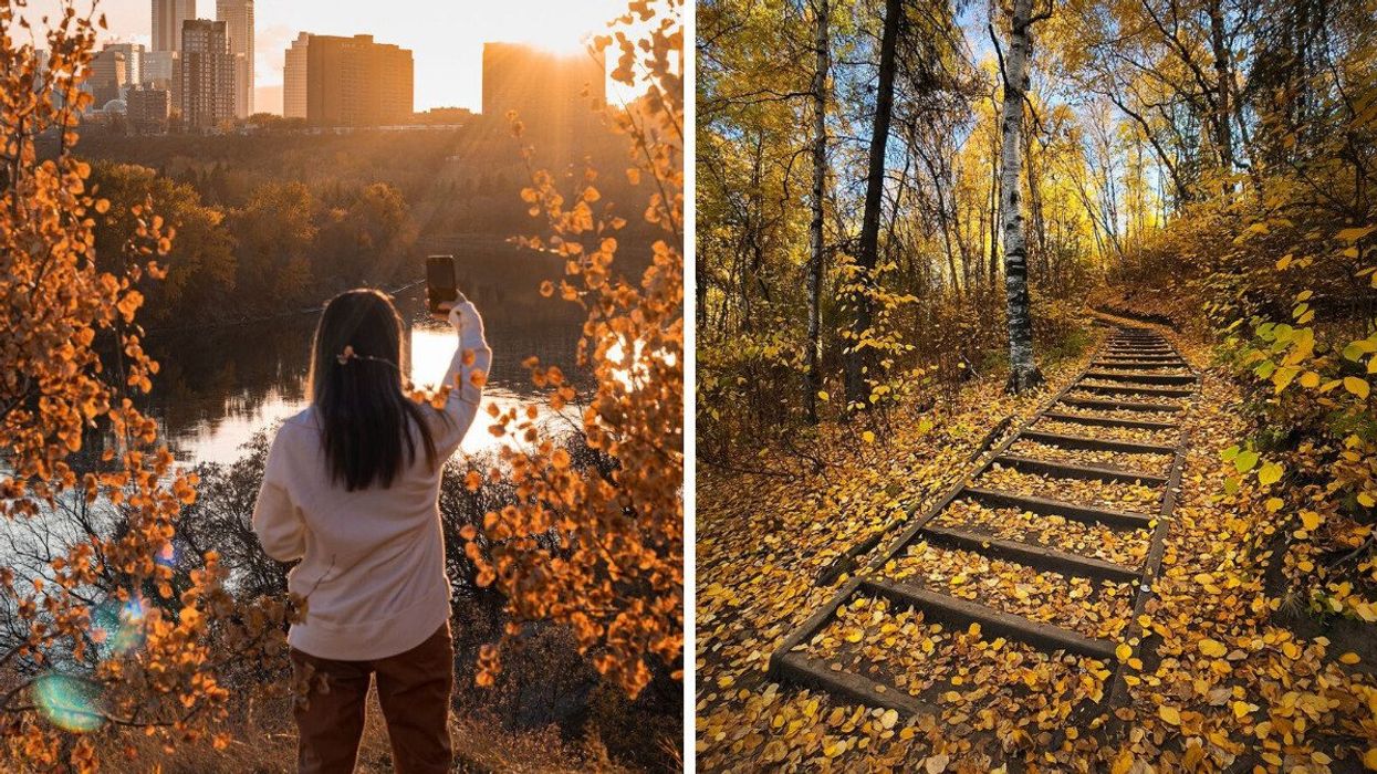 Fall leaves in the Edmonton River Valley
