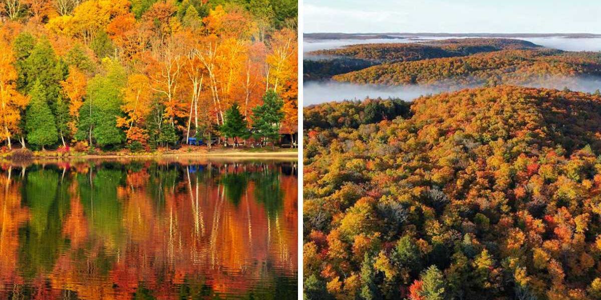 This Ontario park was just named among the world's most colourful autumn destinations