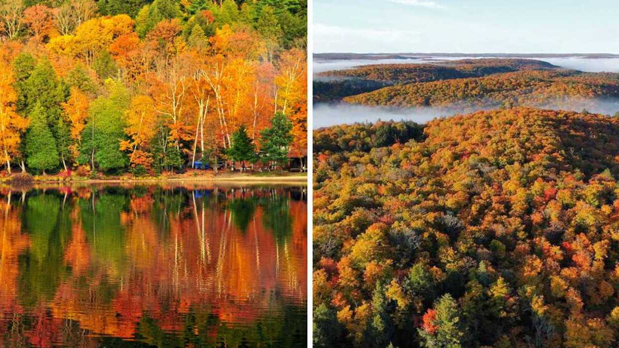 Fall leaves reflected in the water. Right: A fall forest with mist.