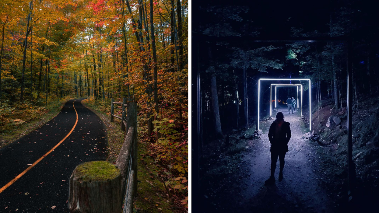 Fall Rhapsody in Gatineau Park. Right: Girl walking through an illuminated forest.