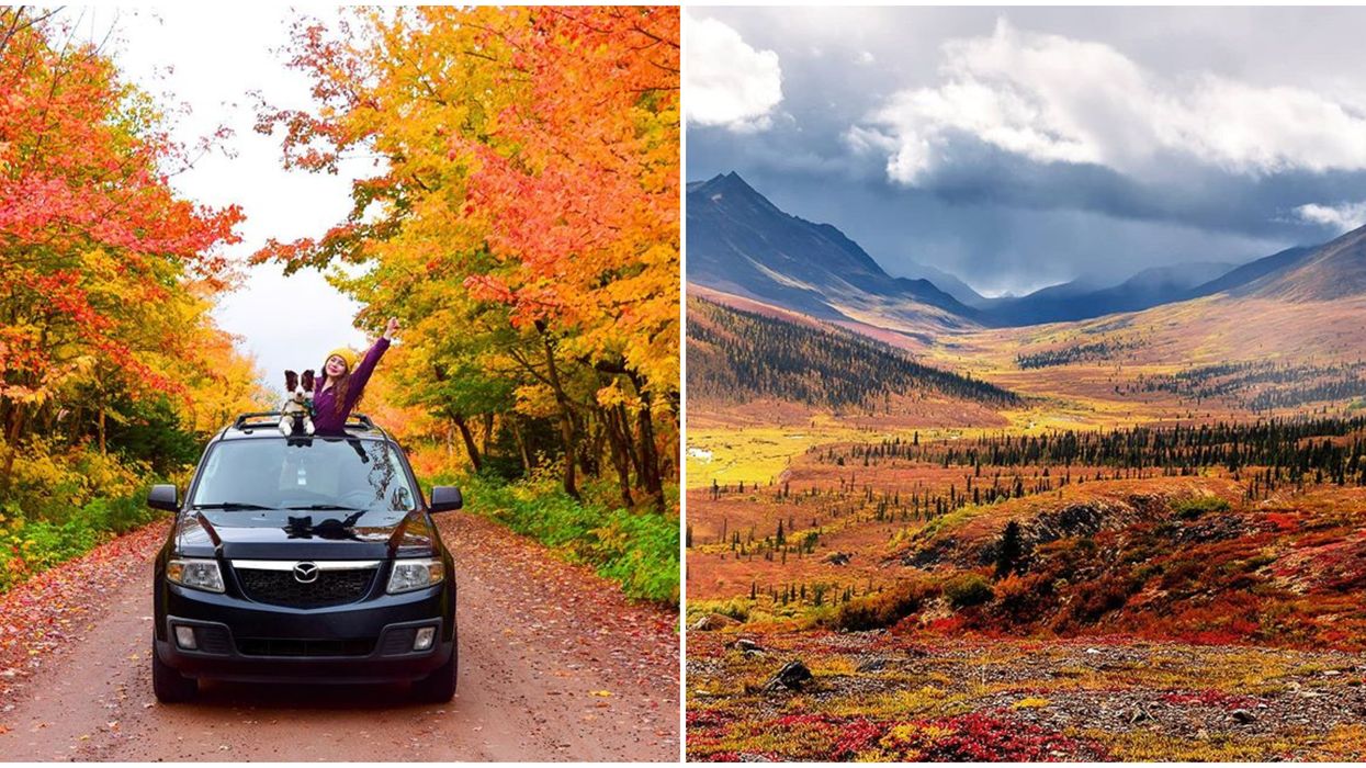 Fall Road Trips In Canada Where You Can See Breathtaking Fall Colours