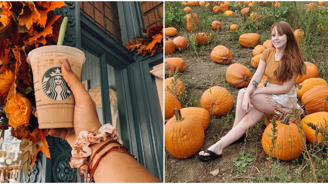 fall things to do in florida